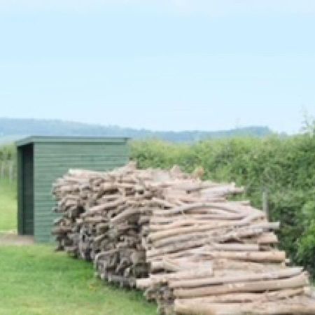 Gumtree Tipis Bickington Exterior photo