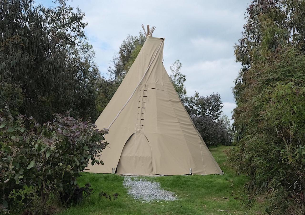 Gumtree Tipis Bickington Exterior photo