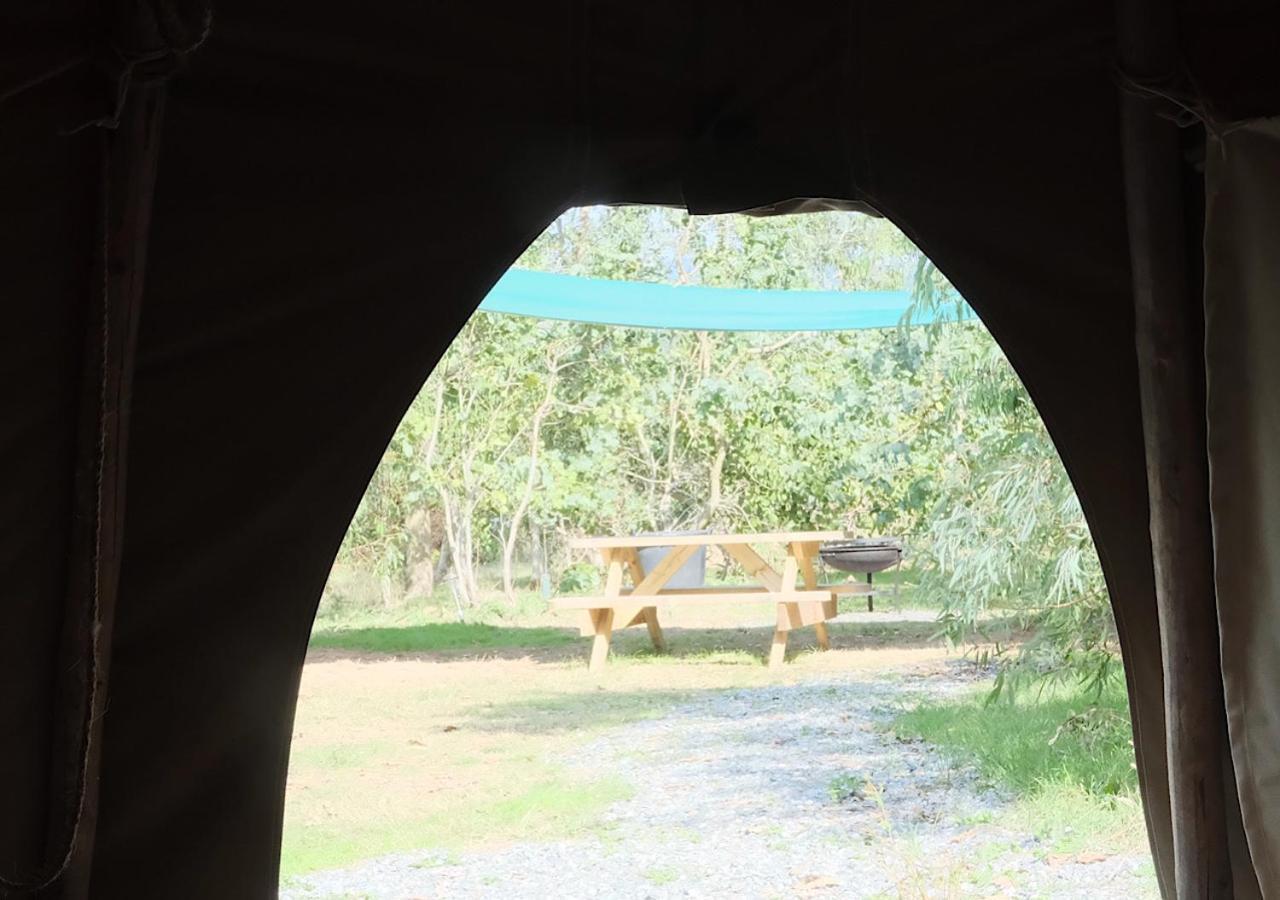 Gumtree Tipis Bickington Exterior photo