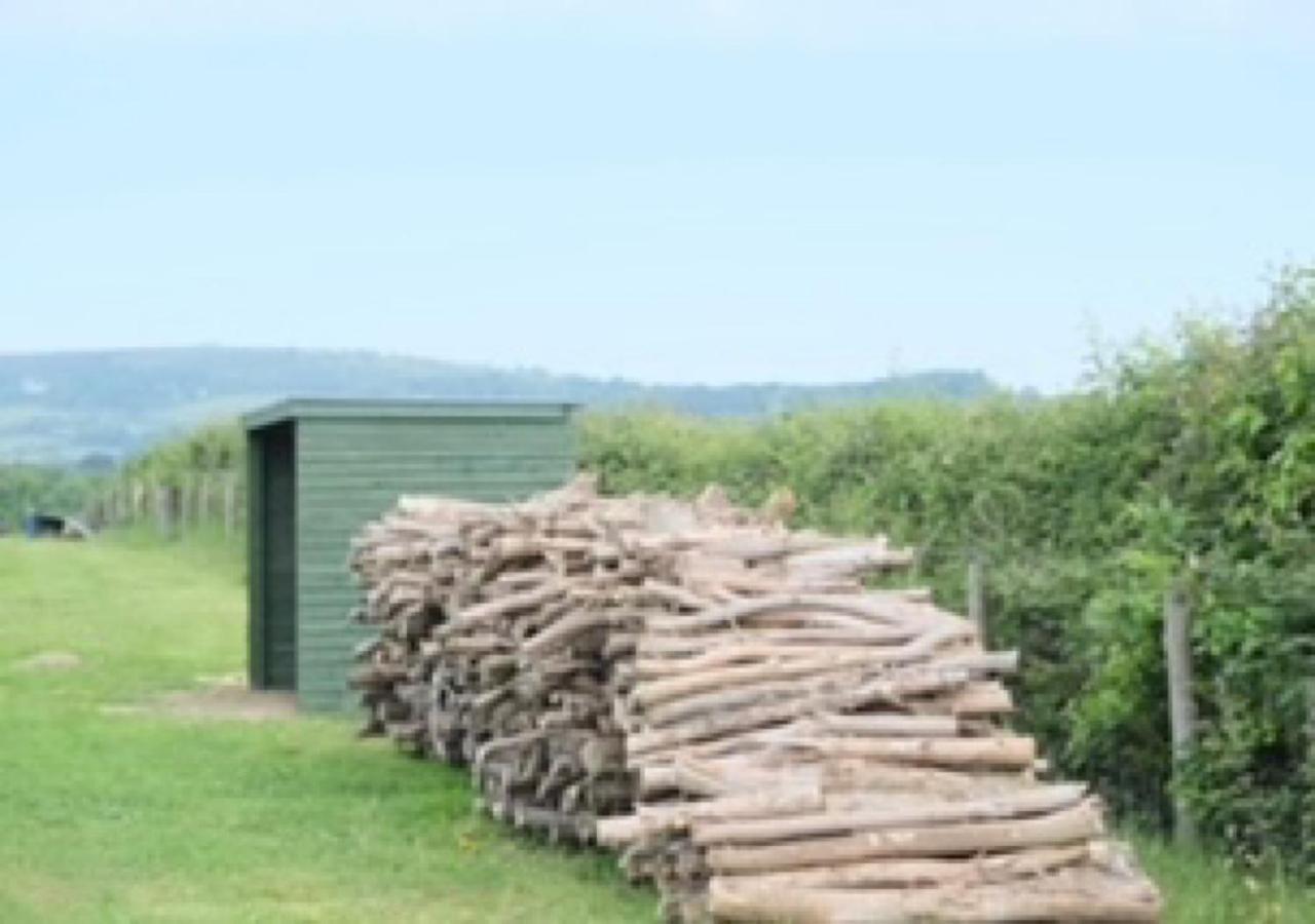 Gumtree Tipis Bickington Exterior photo