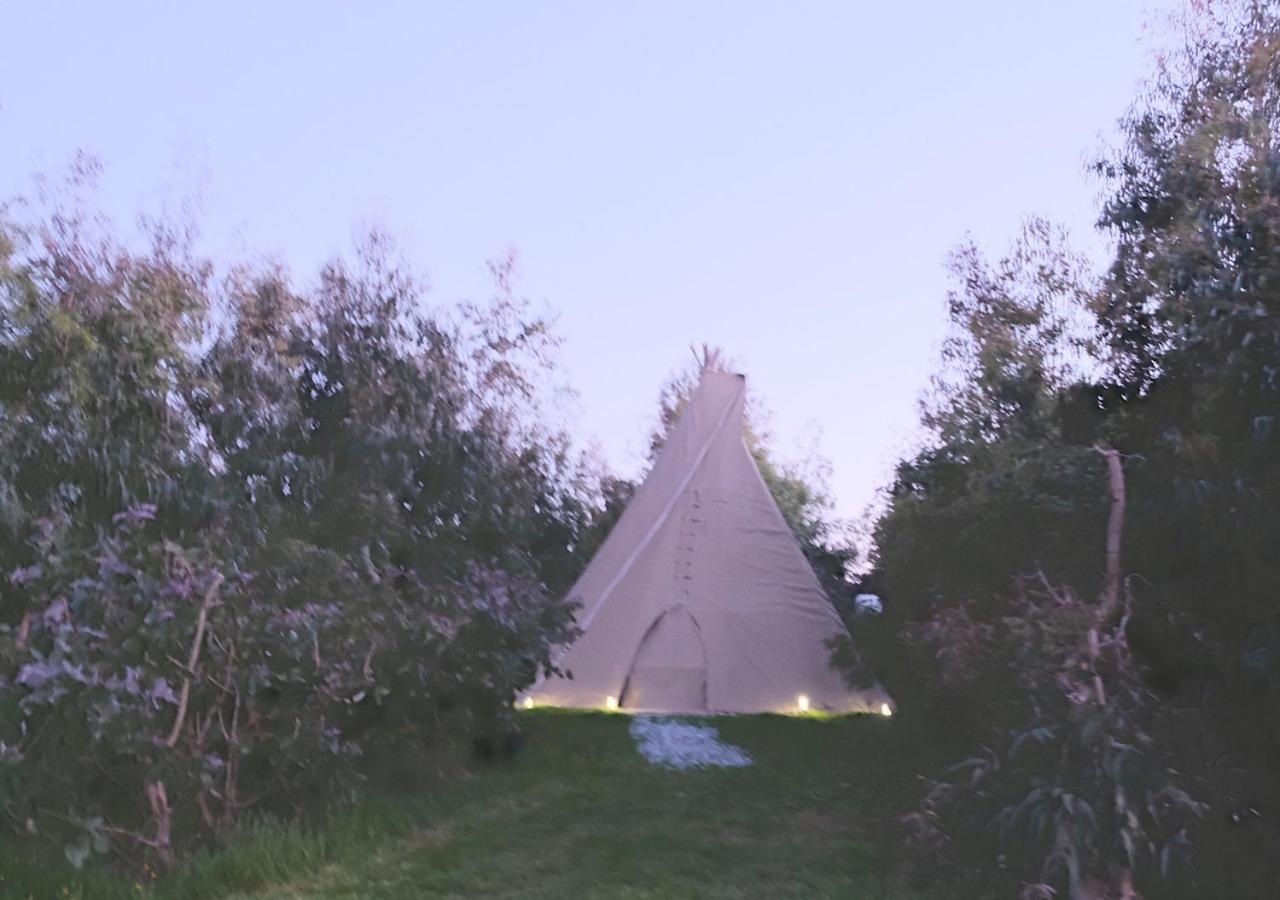 Gumtree Tipis Bickington Exterior photo