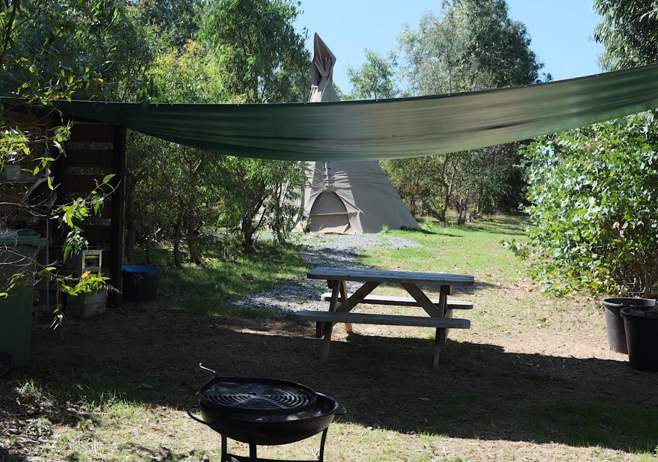 Gumtree Tipis Bickington Exterior photo