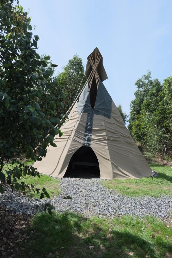 Gumtree Tipis Bickington Exterior photo