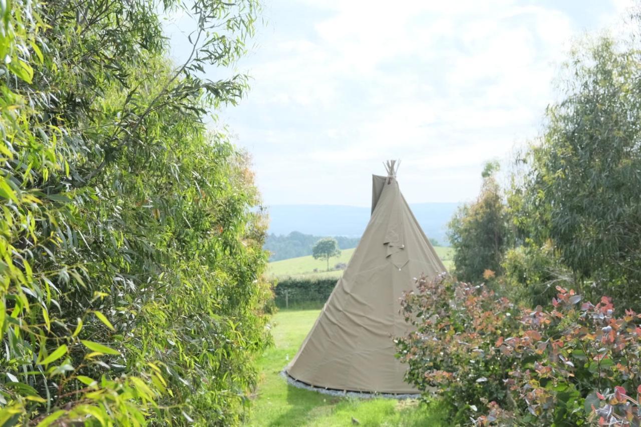 Gumtree Tipis Bickington Exterior photo